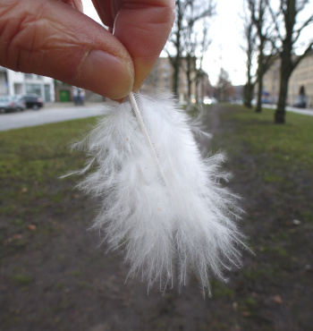 Eine Daunenfeder wird fallen gelassen, um die Windrichtung zu ermitteln.