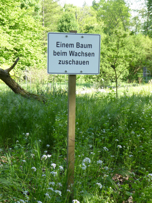 Schild mit folgender Anweisung: Einem Baum beim Wachsen zuschauen.