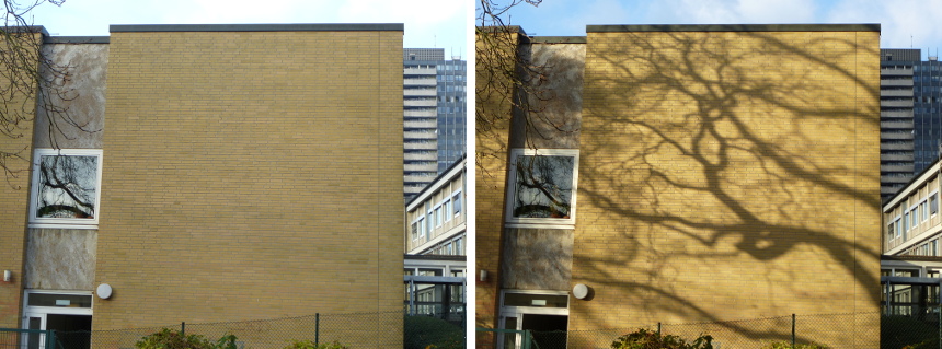 In der Morgensonne fällt auf die Wand eines Bürohauses der kräftige Schatten einer Kastanie.